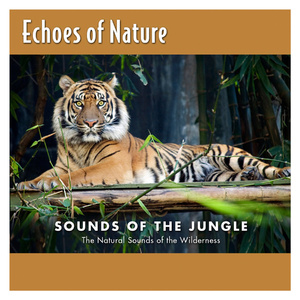 中国站街妓女 -X88AV
